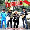 Download track Borracho Y Loco