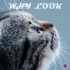 Download track Why Look (Instrumental Mix)