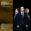Download track Andante Sostenuto De La Symphonie Gothique Pour Violoncelle, Flûte Et Orgue