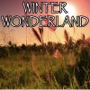 Download track Winter Wonderland - Tribute To Michael Buble (Instrumental Version)