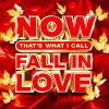 Download track Can't Help Falling In Love