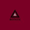 Download track Teachings Of A Ronin