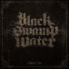 Download track Black Swamp Water