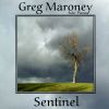 Download track Sentinel