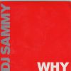 Download track Why (DJ Sammy Extended Remix)