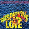 Download track Suspicious Love (Suspicious Riff Mix)