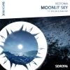 Download track Moonlit Sky