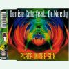Download track Place In The Sun (Radio Edit)