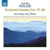 Download track 07. Keyboard Sonata No. 80 In G Minor