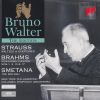 Download track Johannes Brahms. Ungarische Tänze: Nr. 17 Fis-Moll (Andantino)
