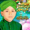 Download track Meeran Waliyon Ke Imam