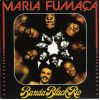Download track Mr. Funky Samba