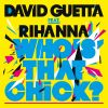 Download track Who'S That Chick (Fuck Me I'M Famous Remix)