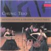Download track Brahms - Piano Trio No 1 In B Major, Op. 8 - III. Adagio