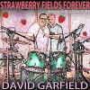 Download track Strawberry Fields Forever (Instrumental Remastered 2020)