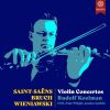 Download track Violin Concerto No. 2 In D Minor, Op. 44: I. Adagio, Ma Non Troppo (Live)
