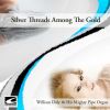 Download track Silver Threads Among The Gold