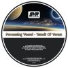 Download track Transit Of Venus