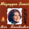 Download track Seyyah Oldum Su Alemi Gezerim