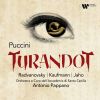 Download track Turandot, Act 2: 