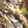 Download track Relaxing Music, Pt. 5