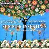 Download track Summer Essentials Mixed By LOVERDOSE - Continuous DJ Mix