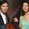 Download track 12. C. P. E. Sonate Fur Viola Da Gamba Und Basso Continuo D-Dur H 559 - I. Adagio M...