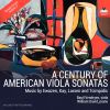 Download track Viola Sonata: II. Andante