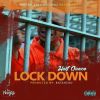 Download track Lock Down