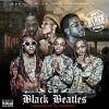 Download track Black Beatles