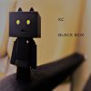 Download track Black Box (Unleaded Mix)