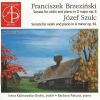 Download track 03. Brzezinski - Violin Sonata In D Major Op. 6 - III. Vivace