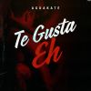 Download track El Pájaro Loco & Juana Mecho (Nueva)
