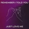 Download track Remember I Told You Just Love Me