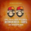 Download track Wonderful Days (DopeMonkeys Re-Remix)