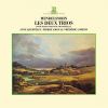 Download track Mendelssohn Piano Trio No. 1 In D Minor, Op. 49 I. Molto Allegro Ed Agitato