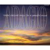 Download track Violin Concerto In D Major, Op. 77: II. Adagio