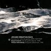 Download track Sonata No. 3 In G Minor, BWV 1029 II. Adagio