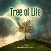 Download track Tree Of Life
