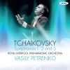 Download track Symphony No. 2 In C Minor 'Little Russian' Op. 17: I. Andante Sostenuto - Allegro Vivo