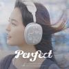 Download track Perfect (Instrumental)