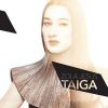 Download track Taiga