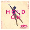 Download track Hold On (Original Mix)