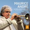 Download track Bizet Les Pêcheurs De Perles, Act 1 Romance De Nadir. Je Crois Entendre Encore (Arr. For Trumpet And Orchestra)