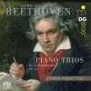 Download track Piano Trio In B-Flat Major, Op. 97: I. Allegro Moderato (Archduke)