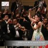 Download track Violin Concerto In D Minor, Op. 47: III. Allegro Ma Non Tanto (Live)