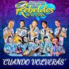 Download track Ese Muerto No Lo Cargo Yo / Cotorrita / La Burrita / El Gallo Mojado