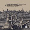Download track Kommt, Seelen, Dieser Tag BWV 479