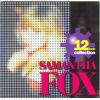 Download track Fox (Hunt Mix)