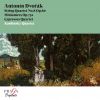 Download track Cypresses, B. 152: XI. Nature Lies Peaceful In Slumber And Dreams (Allegro Scherzando)